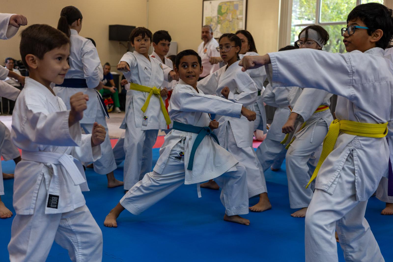 Artes Marciales es para todos